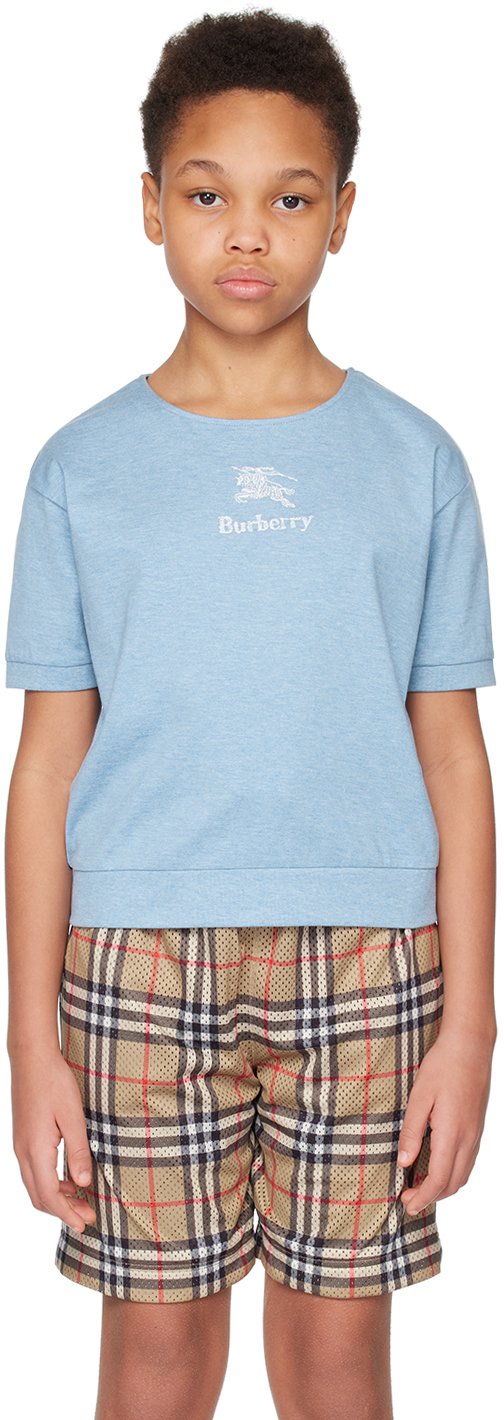 Shop Burberry Kids Blue Embroidered T-shirt In Light Blue Melange