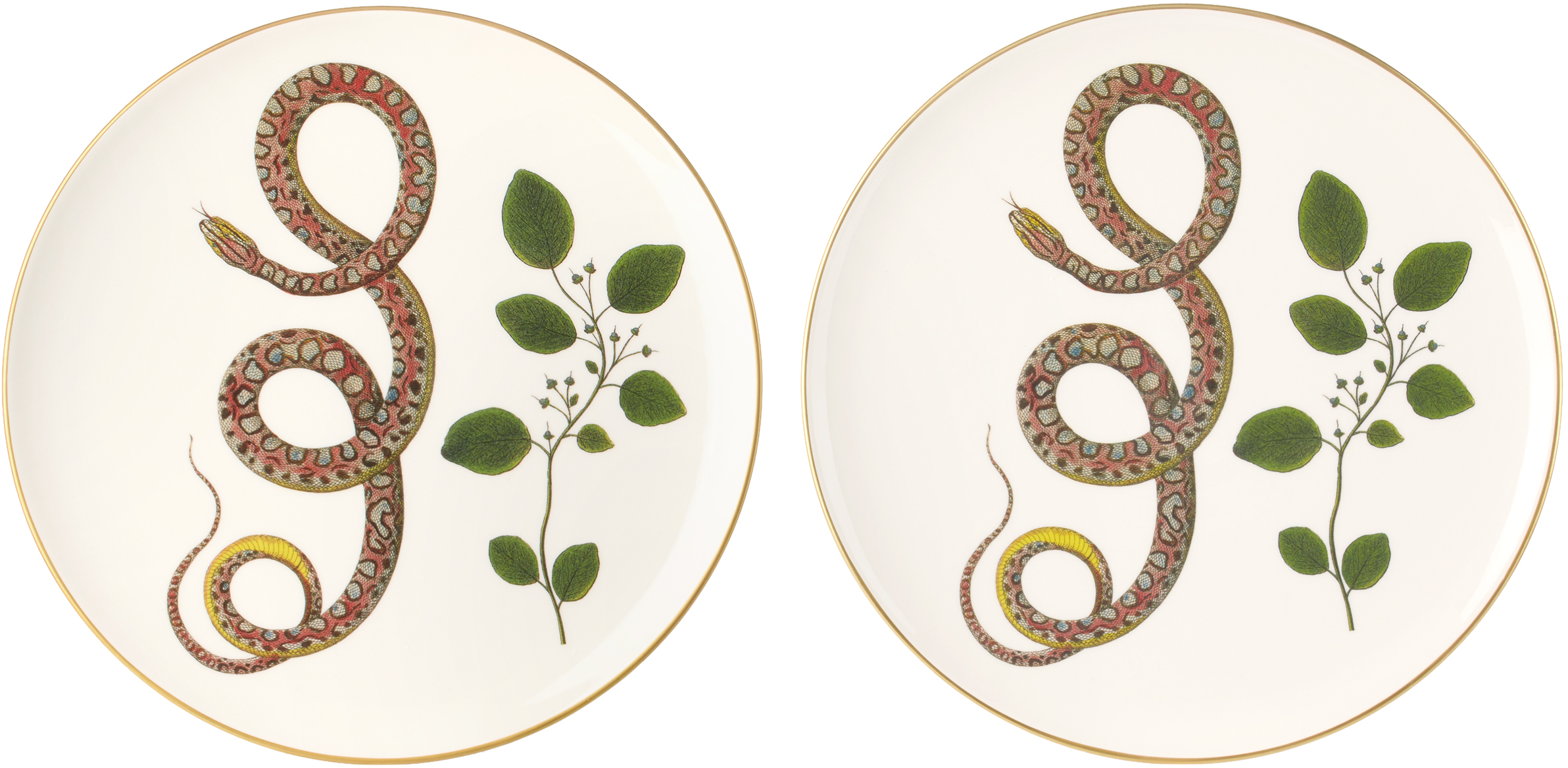 Laboratorio Paravicini White Serpi 07 Dinner Plate Set In Serpi 07