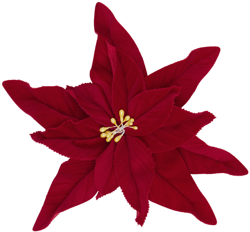 Jw Anderson Red Poinsettia Brooch In Burgundy