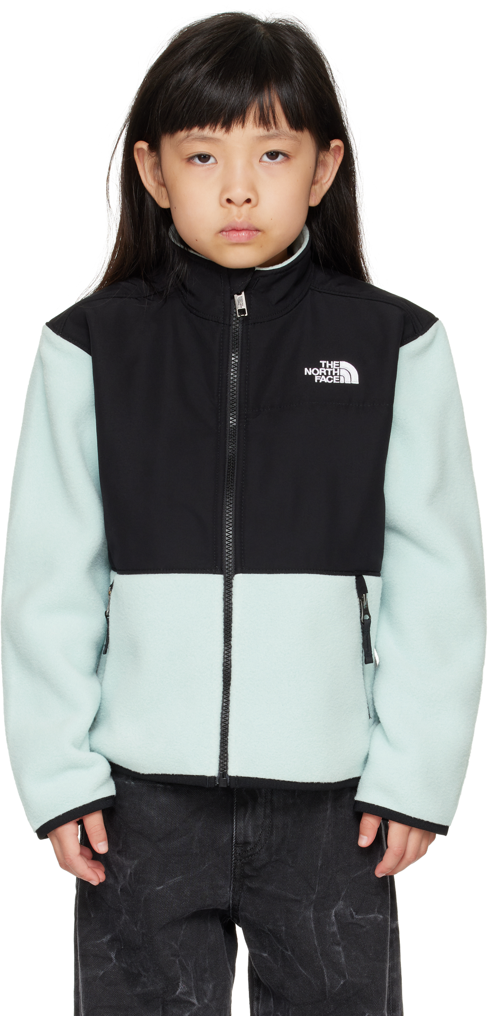 Shop The North Face Little Kids Blue Denali Jacket In 1oc Muted Pine