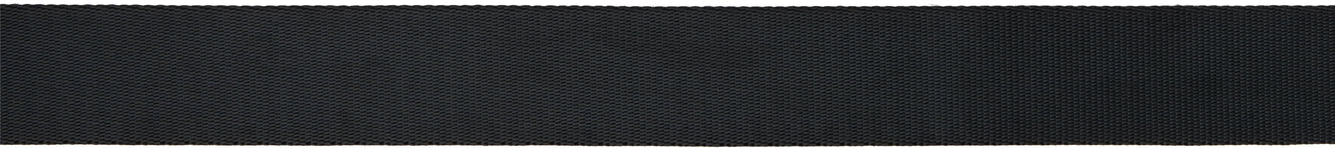 Y-3 Black Classic Logo Belt In Black