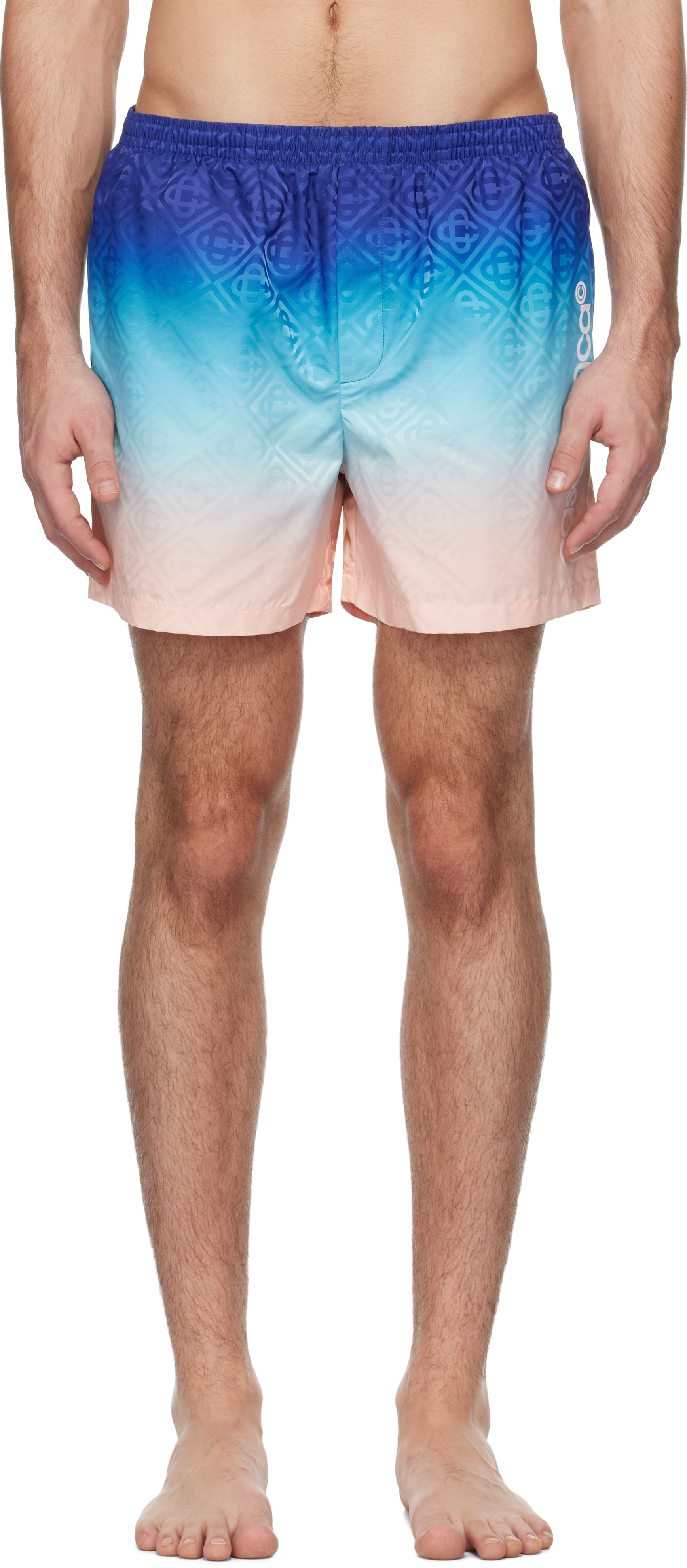 Multicolor Printed Swim Shorts