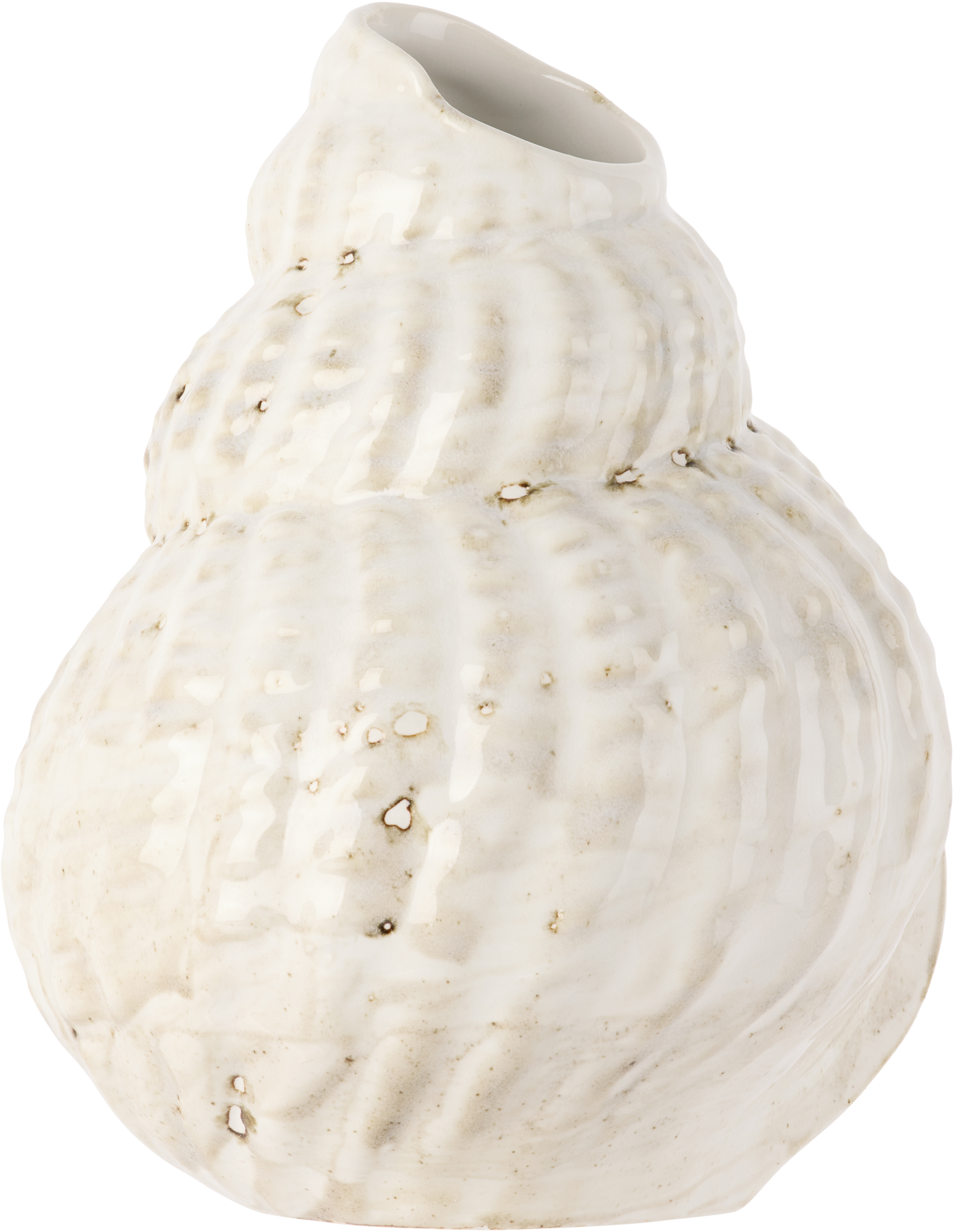 Christina Iversen Studio Off-white Shell Vase In White