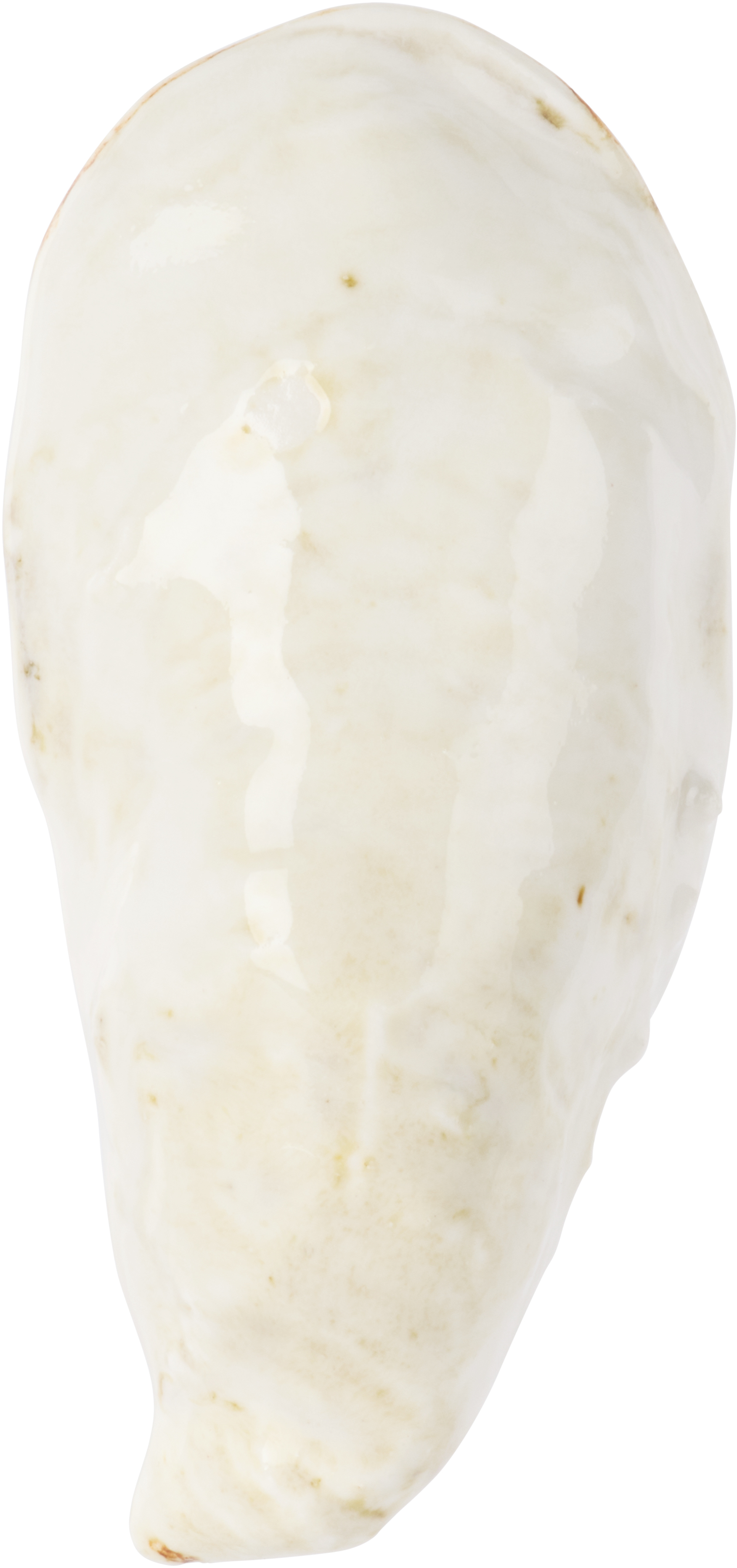 Christina Iversen Studio Off-white Oyster Salt Dish In White