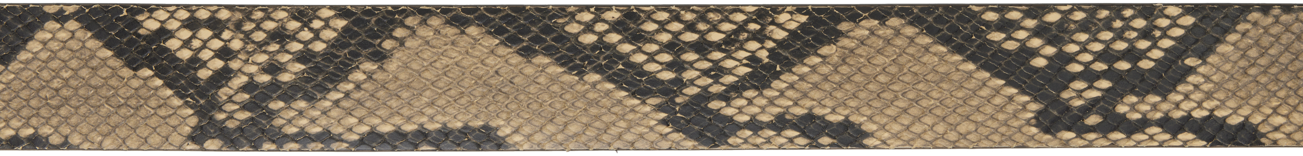 Dries Van Noten Beige & Black Leather Belt In 103 Beige