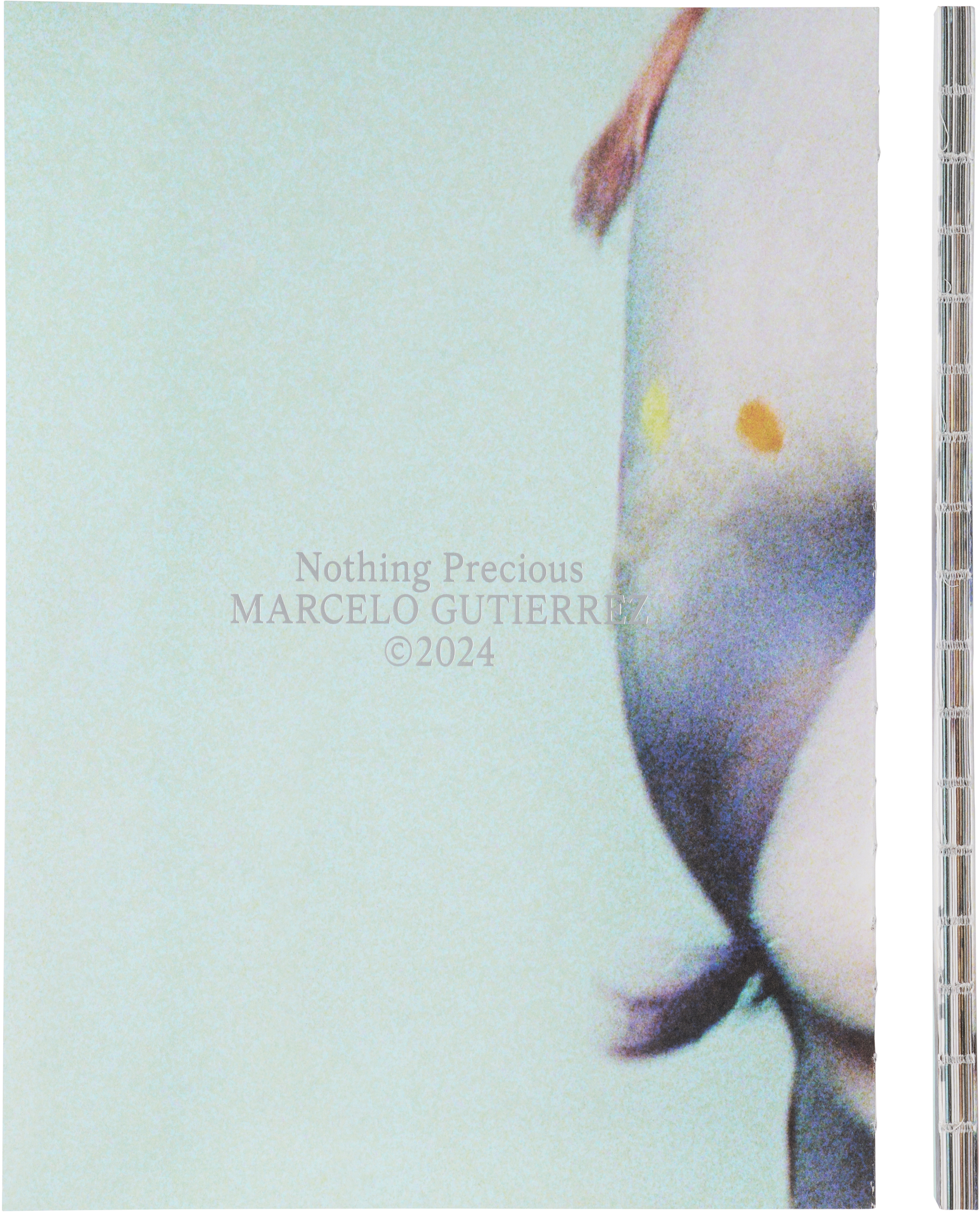 Marcelo Gutierrez Nothing Precious — 1st Edition In Na