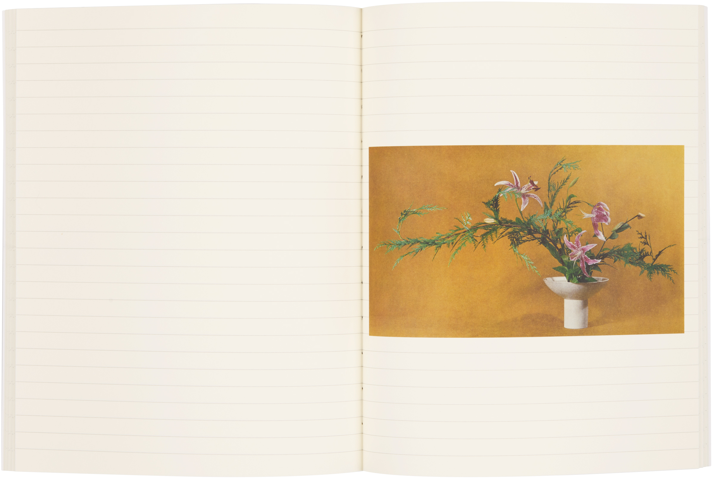 Idea Ikebana — An Book