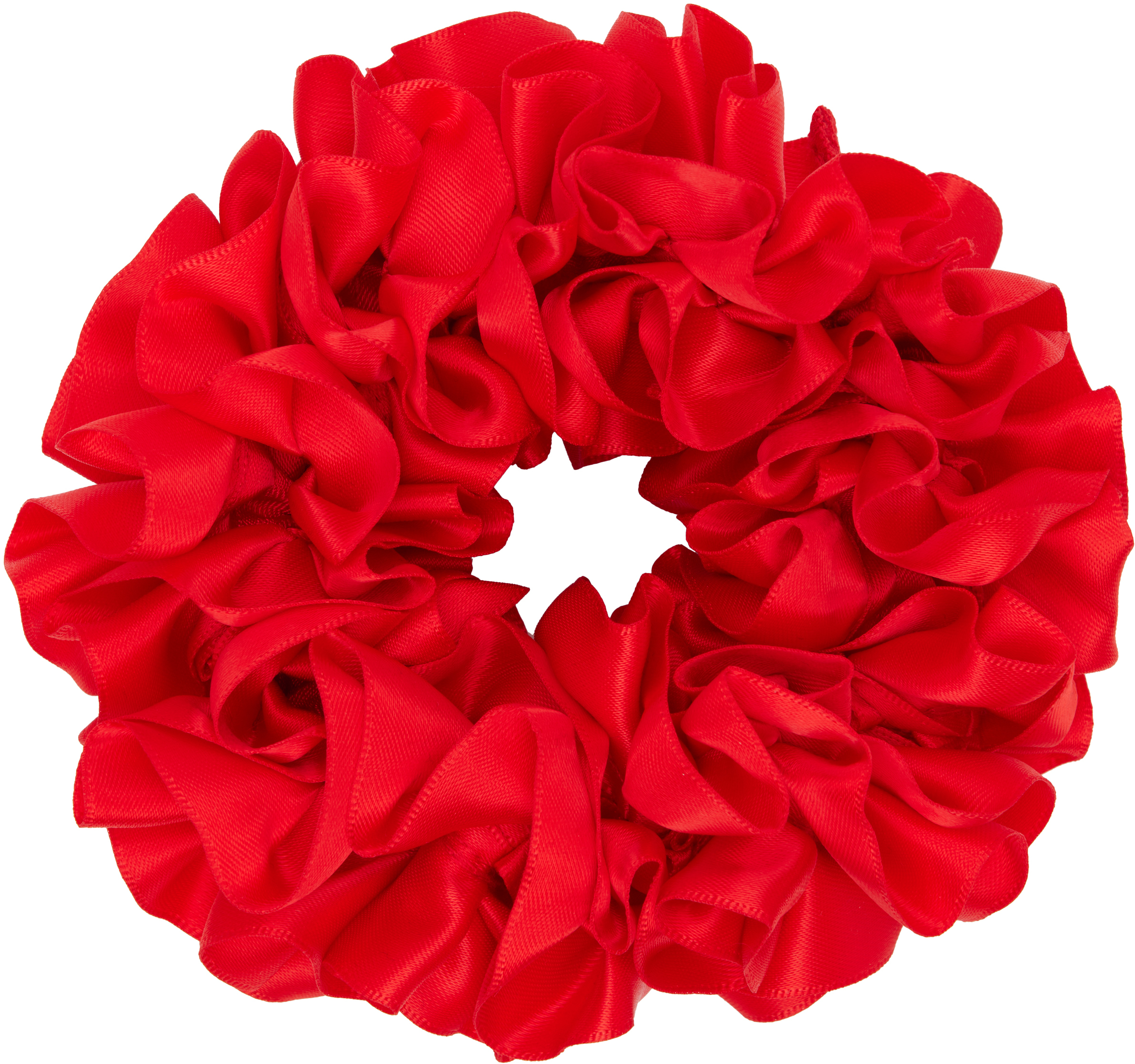 Maryam Nassir Zadehのレッド Carnation シュシュがセール中