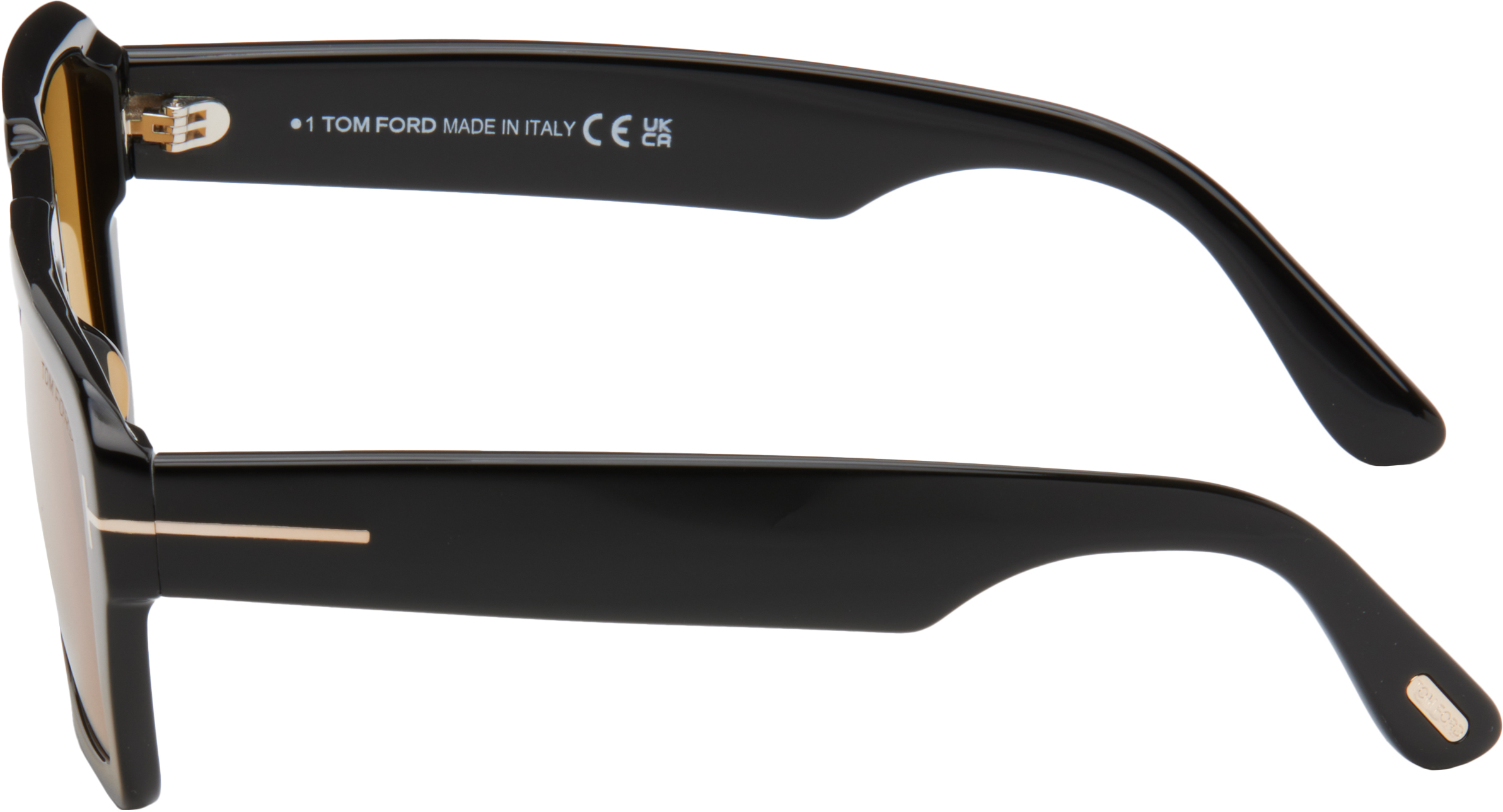 Tom Ford Black Redford Sunglasses