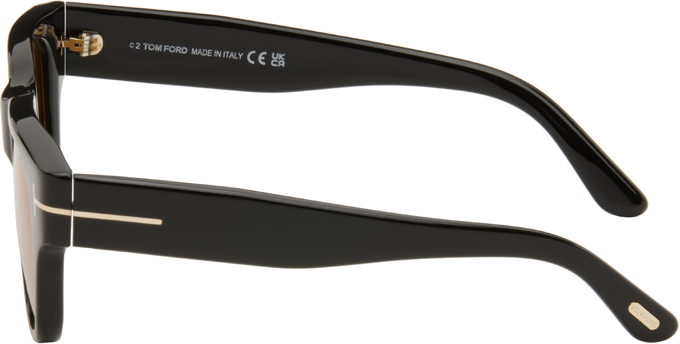 Tom Ford Black Caine Sunglasses
