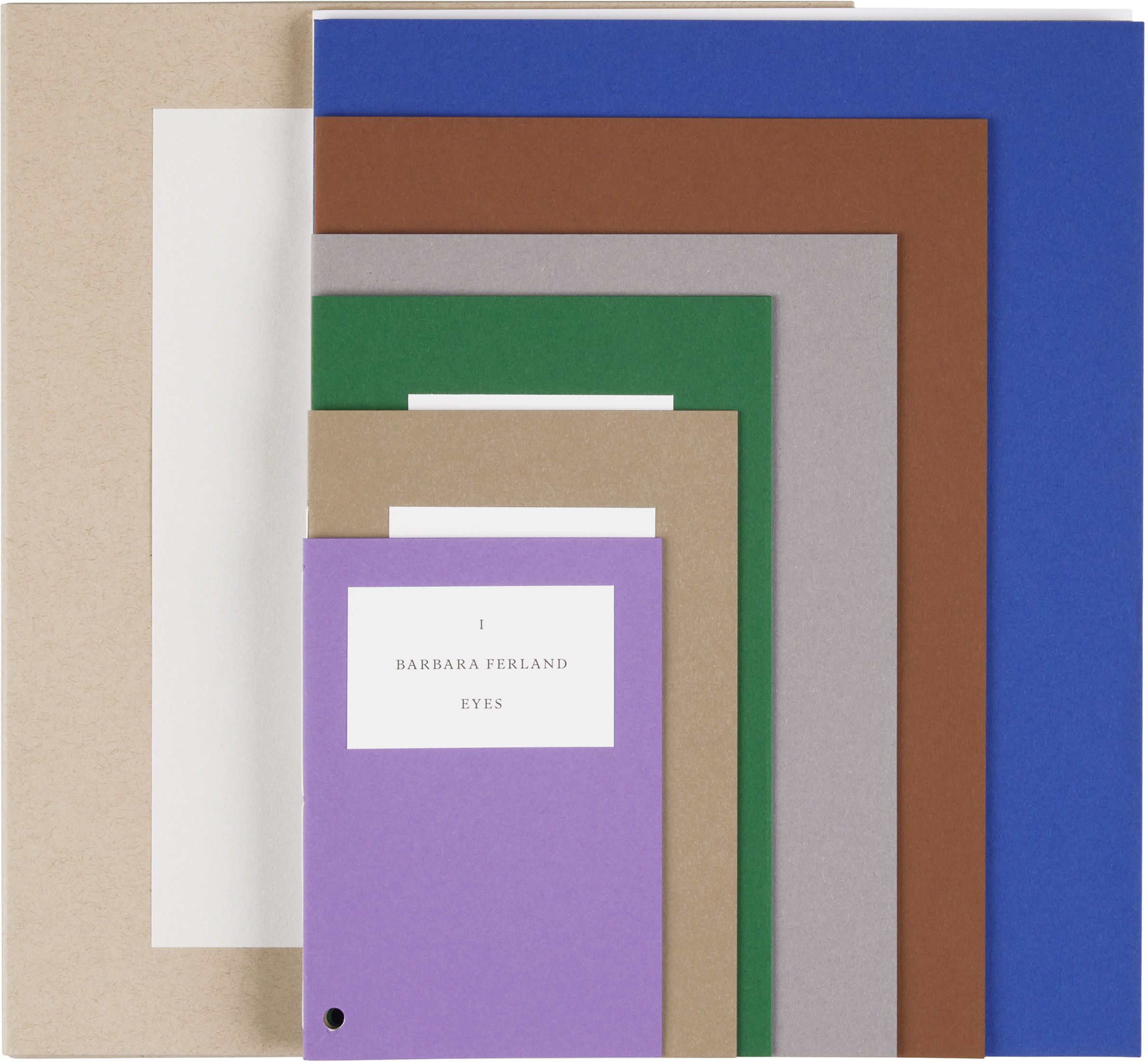Tate Rhea Dillon: An Alterable Terrain — Signed, Limited Edition In Na