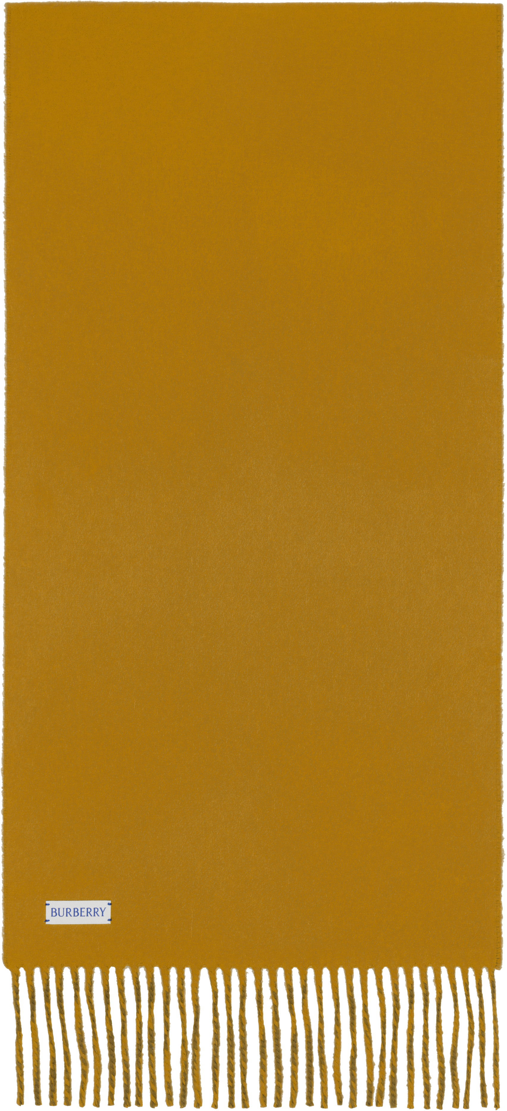 Burberry Cashmere Reversible Ekd Scarf In Green