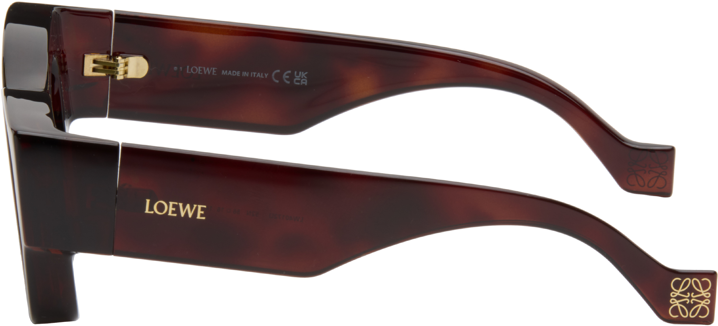 Loewe Brown Paula's Ibiza Goggle Rectangle Sunglasses In Brown