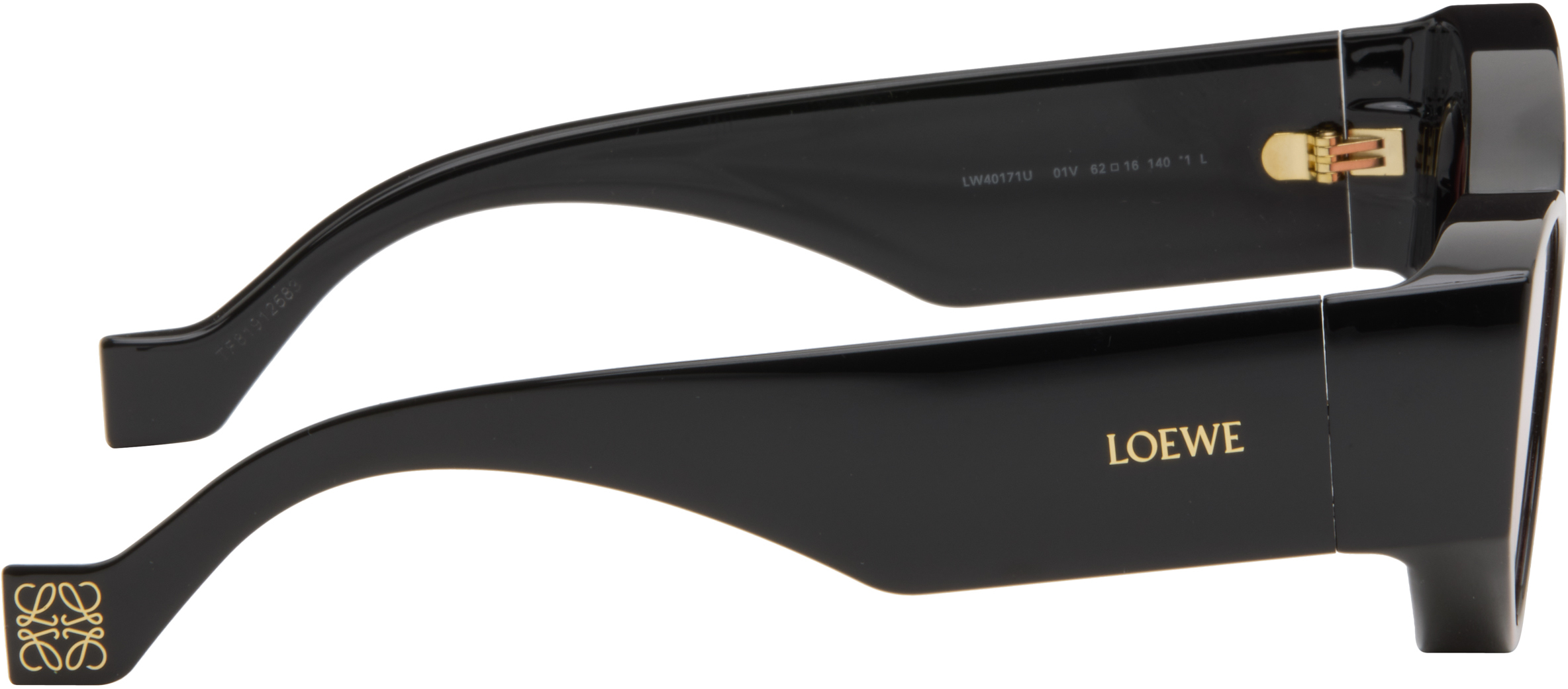 Loewe Black Paula's Ibiza Goggle Cat-eye Sunglasses In Black