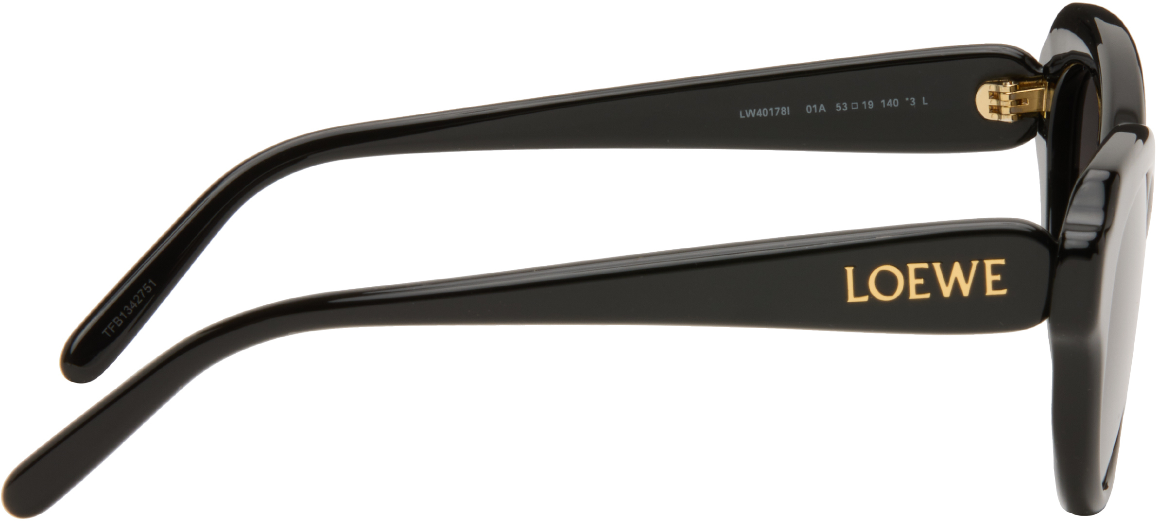Loewe Cat-eye Acetate Sunglasses In Black
