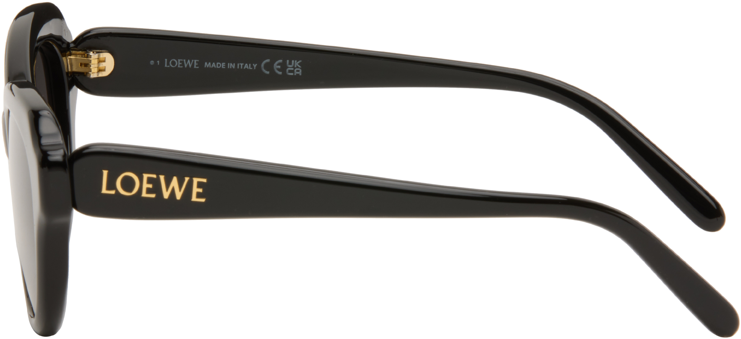 Loewe Cat-eye Acetate Sunglasses In Black