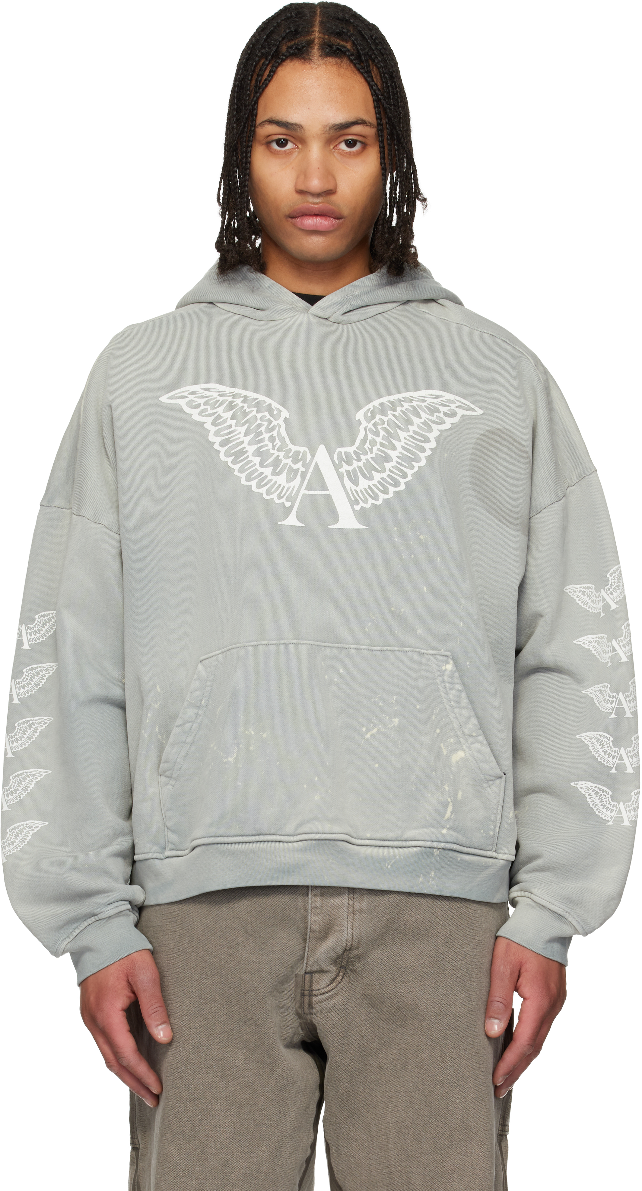 alexander-digenova-gray-logo-