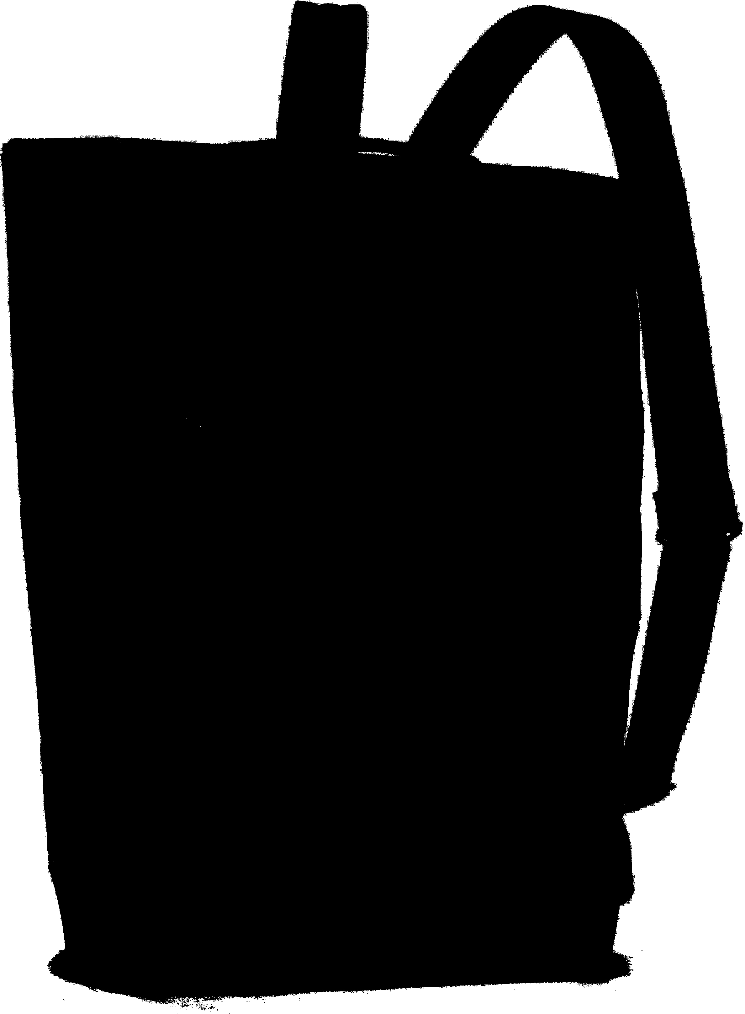 Bao Bao Issey Miyake Black Liner Backpack | Smart Closet
