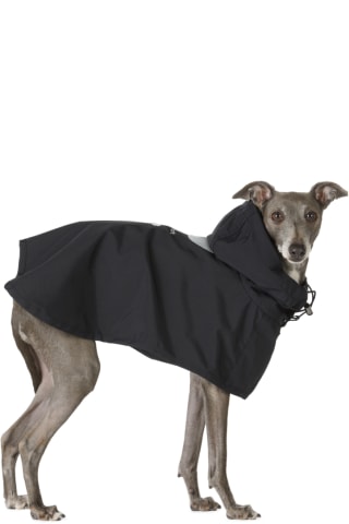 Merlot Black Ain Dog Coat