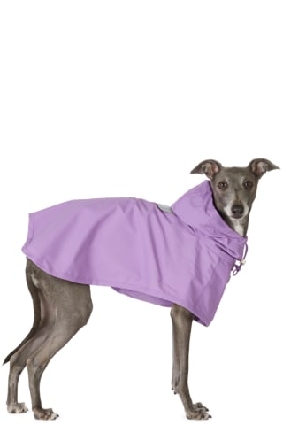 Merlot Purple Ain Dog Coat