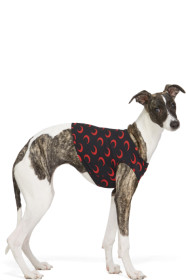 Marine Serre - T-shirt pour chien noir et rouge Moon exclusif à SSENSE