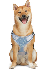 Marine Serre - Harnais pour chien en denim recyclé bleu exclusif à SSENSE
