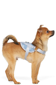 Marine Serre - Harnais pour chien en denim recyclé bleu Small exclusif à SSENSE