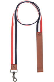 Moncler Genius - Multicolor Poldo Dog Couture Edition Webbing Dog Leash