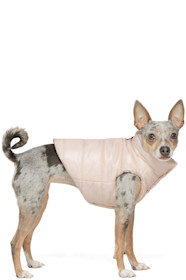 Moncler Genius - Pink Poldo Dog Couture Edition Vest