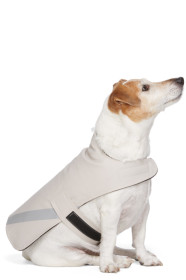 Stutterheim - SSENSE 限定 ベージュ PVC ライトウェイト ドッグ レインコート