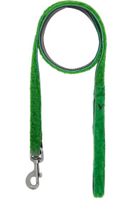 Ashley Williams - SSENSE Exclusive Green Didi Leash