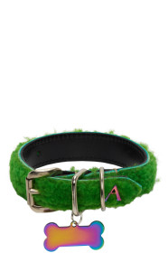 Ashley Williams - SSENSE Exclusive Green Didi Collar