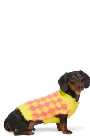 Ashley Williams - SSENSE Exclusive Yellow & Pink Dog Sweater
