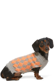 Ashley Williams - SSENSE Exclusive Grey & Orange Dog Sweater