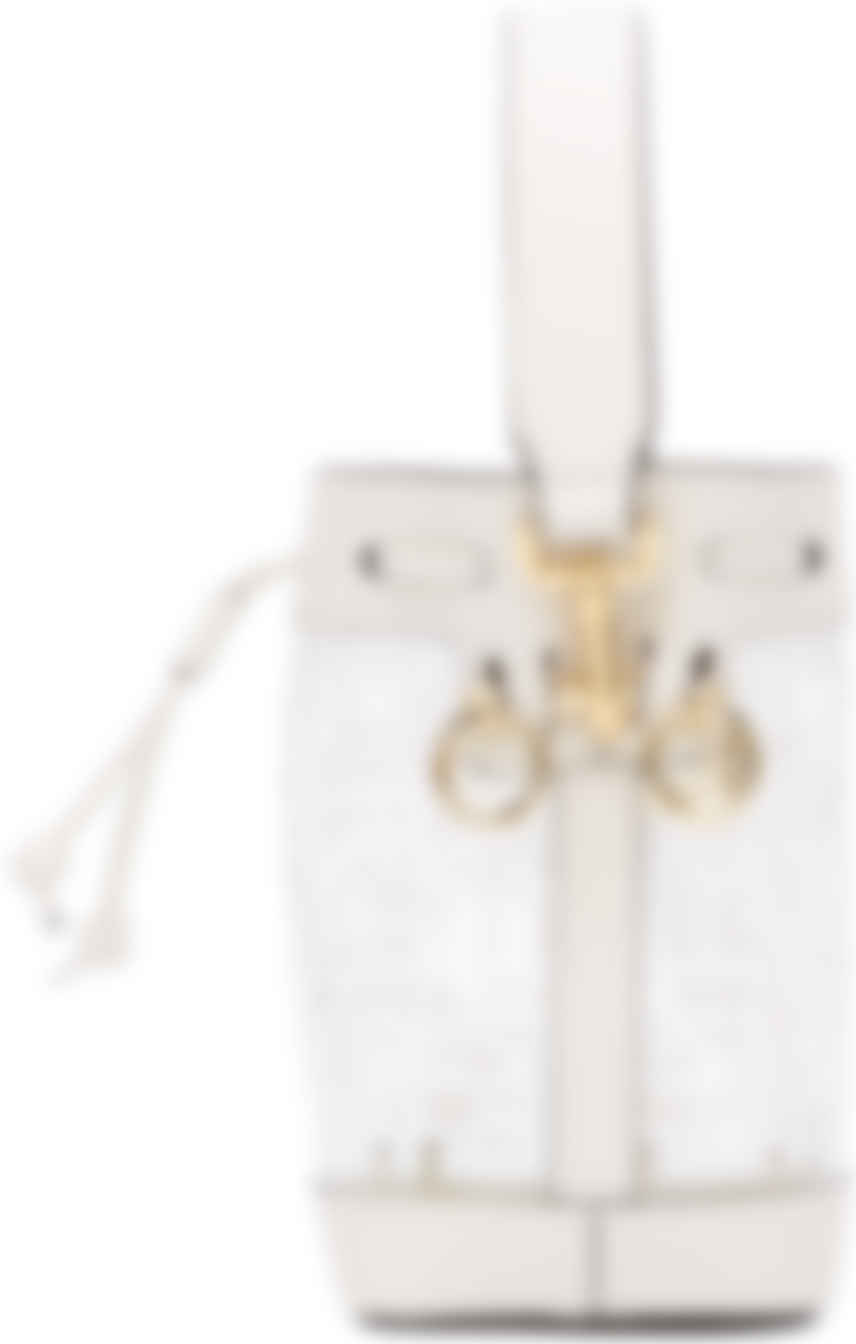 fendi clear bucket bag