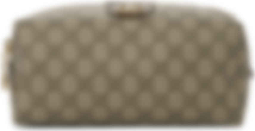 gucci ophidia case