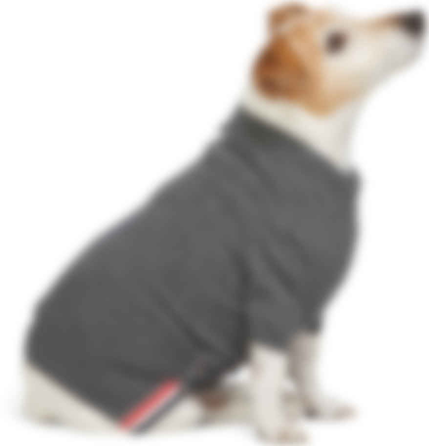dog sweater canada