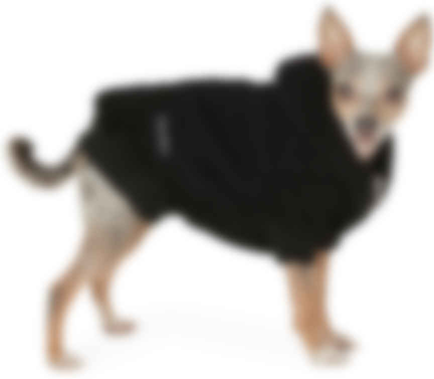 dog sherpa hoodie