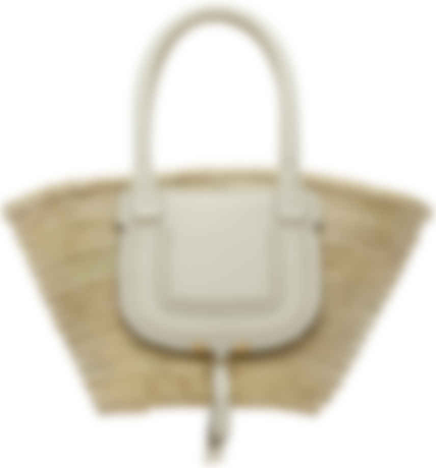 ssense chloe bag