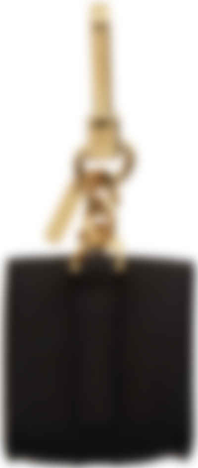 burberry earphone case