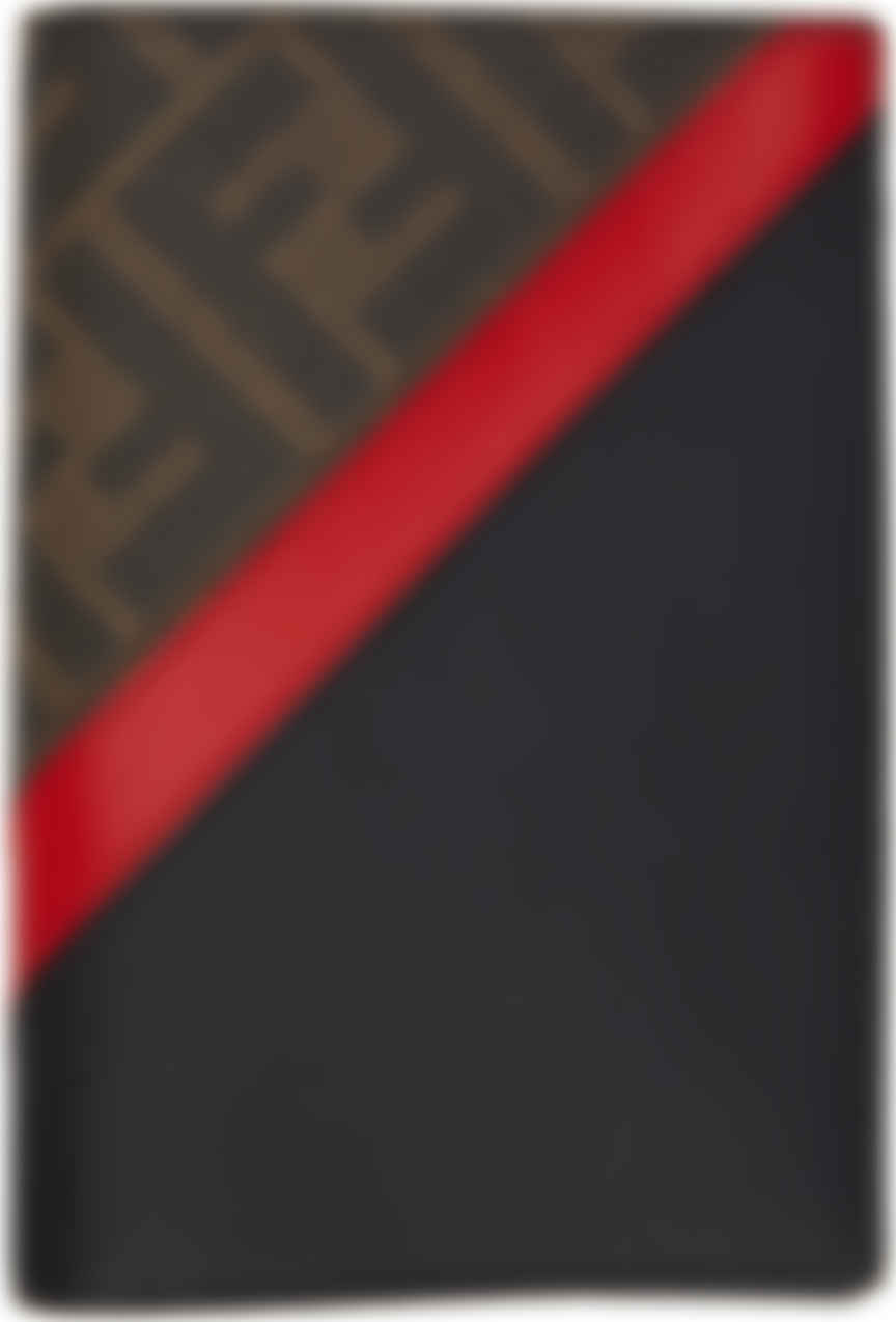fendi passport holder