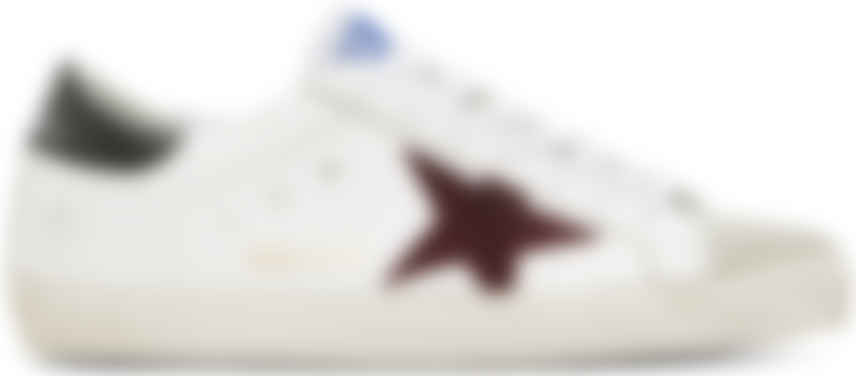 maroon golden goose