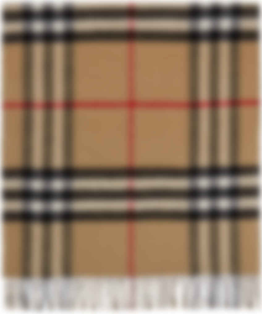 burberry scarf ssense