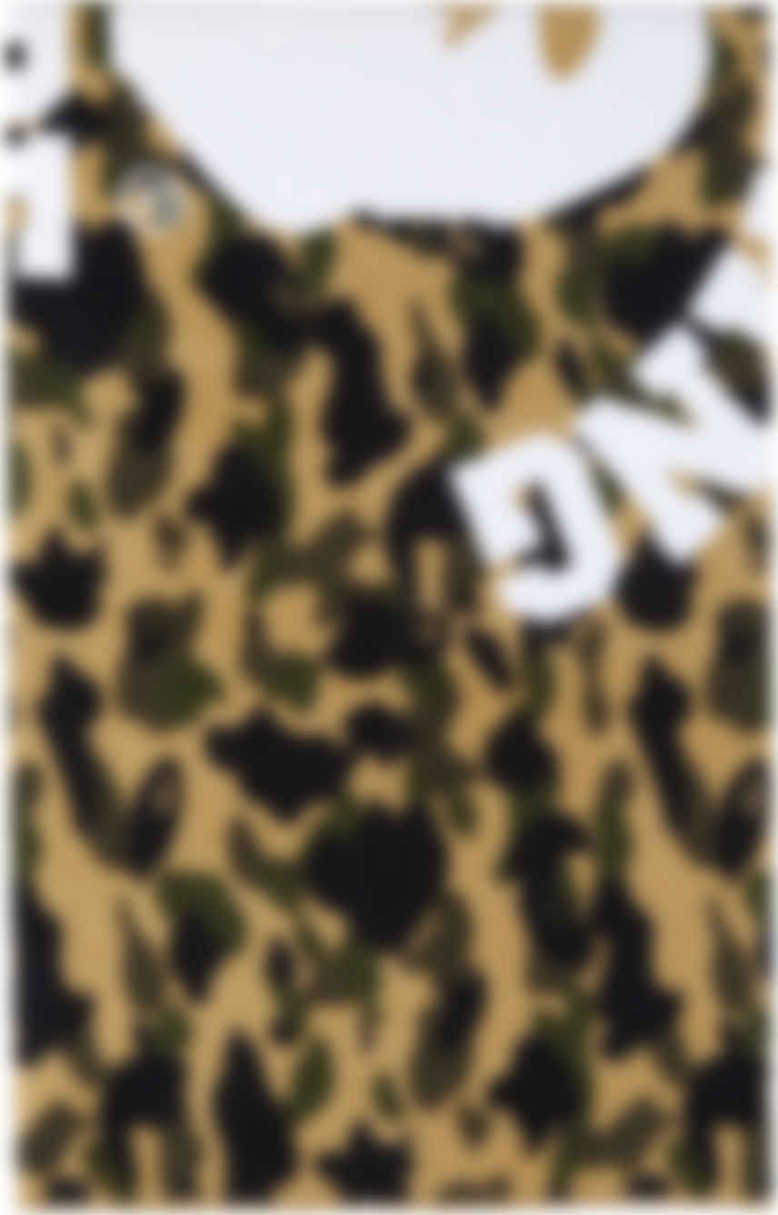 Bape 多色1st 迷彩沙滩巾 Ssense