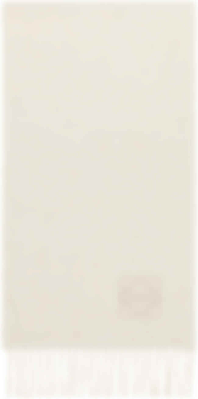 Loewe bicolor scarf Clearance