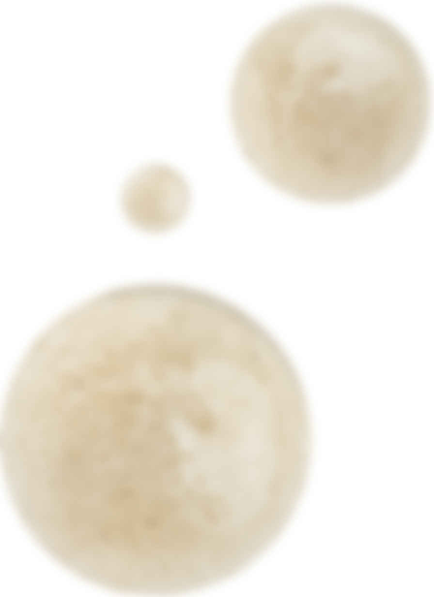 Aesop ゼラニウム リーフ ボディ スクラブ 180 Ml Ssense 日本