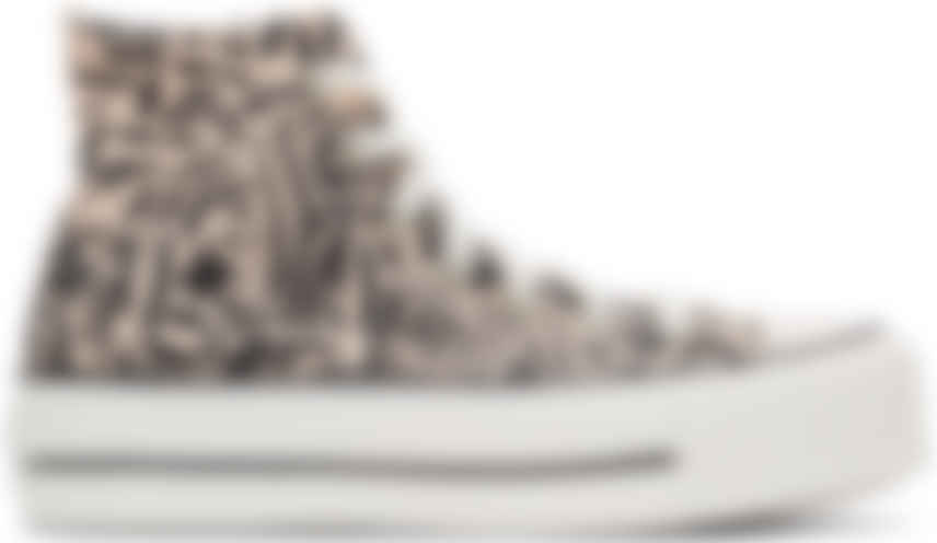 chuck taylor all star