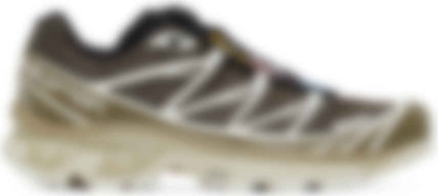 salomon xt6 beige