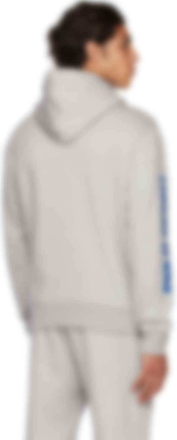 polo sport hoodie