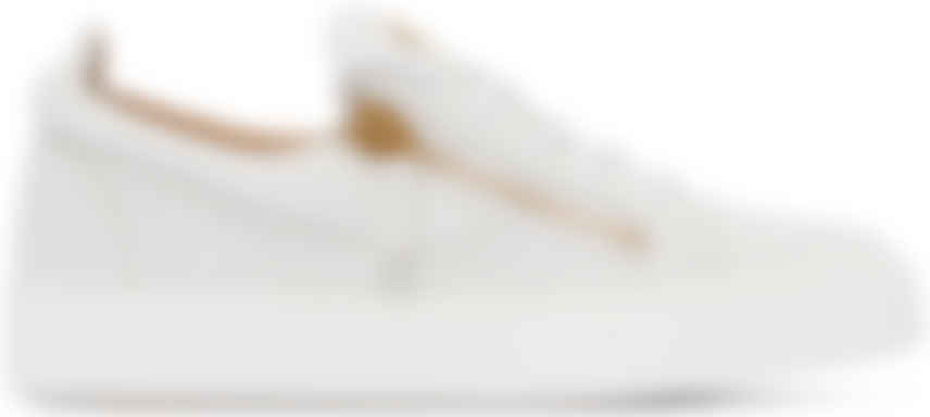 zanotti blanche croco